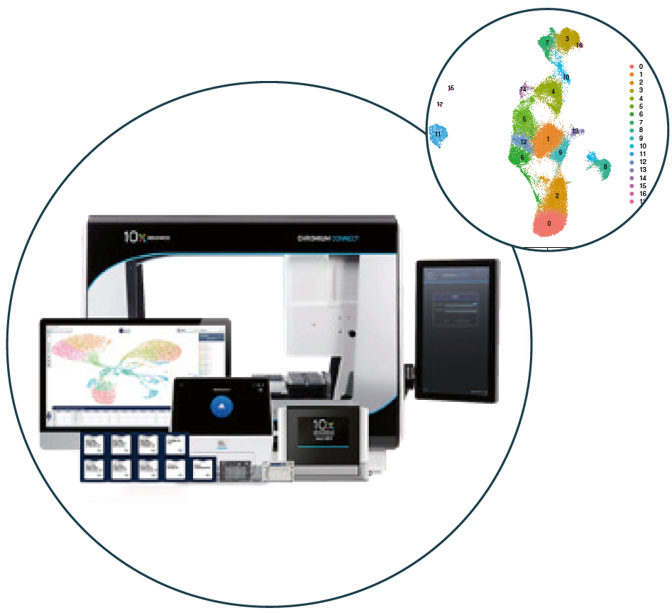 Single Cell Applications